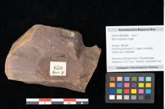 Foto (Objekt + Etikett) von Myrica lignitum Unger (NHMW-GEO-2024-0188-0658)